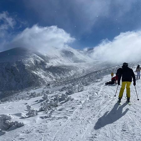 Flora Ski-Slope Studio Apartment Borovets Bagian luar foto
