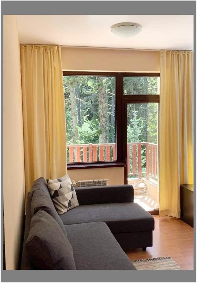 Flora Ski-Slope Studio Apartment Borovets Bagian luar foto
