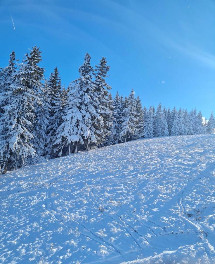 Flora Ski-Slope Studio Apartment Borovets Bagian luar foto